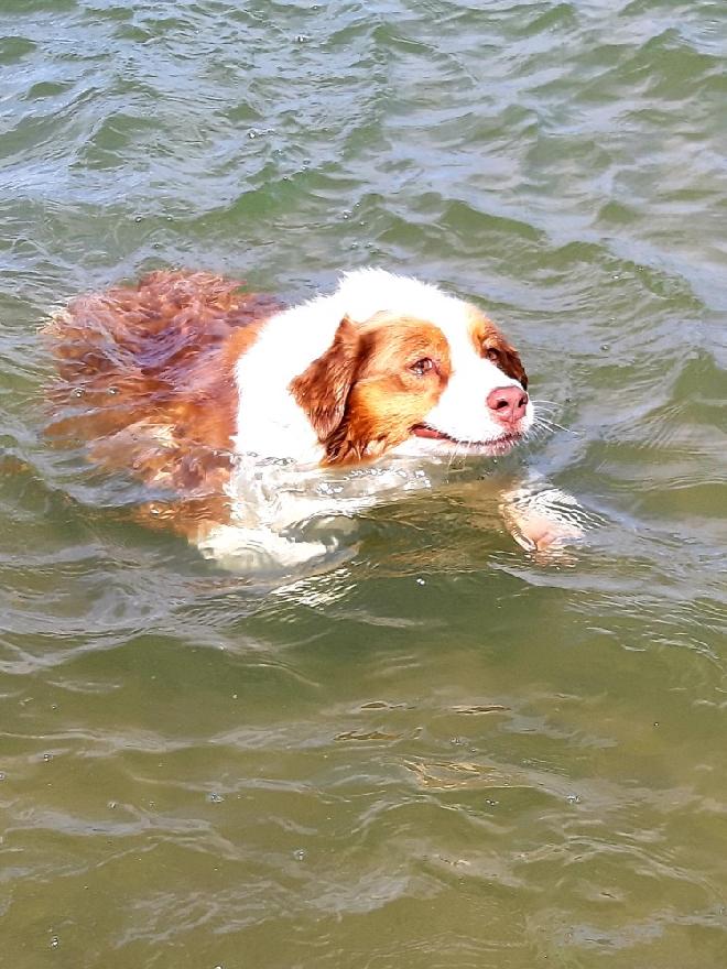 stažený soubor (8)