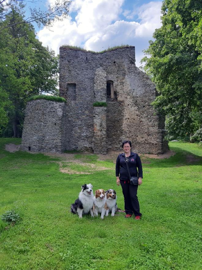 stažený soubor (8)