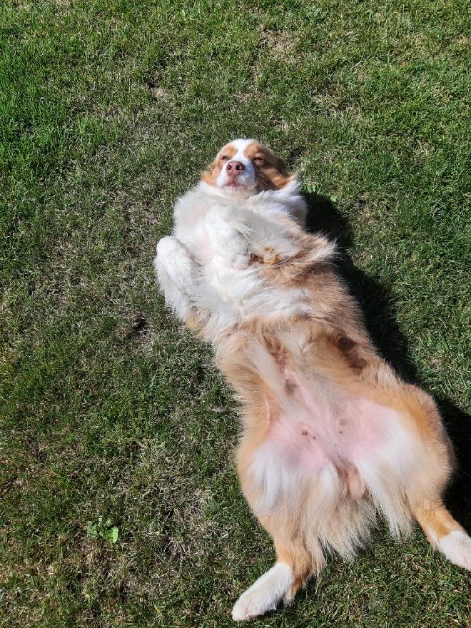 stažený soubor (1)