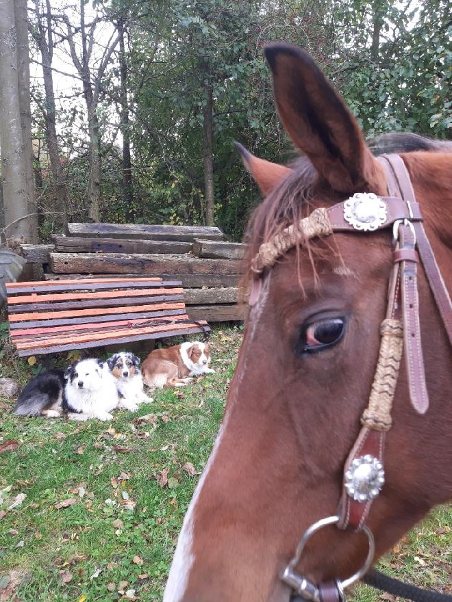 stažený soubor (11).jfif