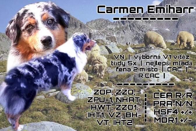 received_393148308481385