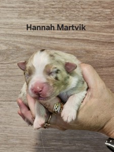 hannah-1.jpg
